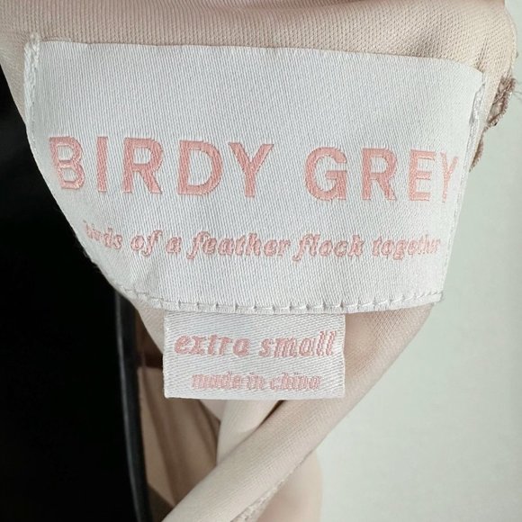 Birdy Grey Devin Convertible Chiffon Long Dress Gown Pale Blush Pink Extra Small - Picture 8 of 16